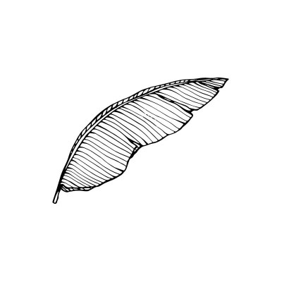 "Banana Leaf 1" Wall Decal...