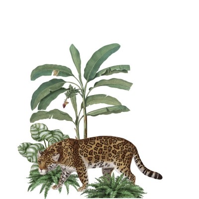 “Dress up for the Jungle”... 2